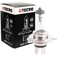 TECPO H4 Glühbirne 12V 55W P43T