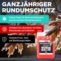 TECPO Kühlerfrostschutz G12+ -40°C, 5L