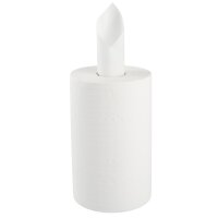 TECPO Putzrolle 2-lagig, 23x30 cm, WEIß-300
