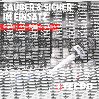2x TECPO Universal Klebe- und Dichtstoff FLEX SEAL 522 SCHWARZ 1K MS-Polymer UV-stabil und witterungsbeständig + Alu-Kartuschenpresse 220 mm