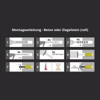 10x TECPO Injektionsmörtel SF 300 Verbundmörtel Montagemörtel 300 ml + Kartuschenpresse 25:1 für Kartuschen 150–310 ml
