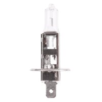 TECPO H1 Glühbirnen 12V 55W  P14.5S