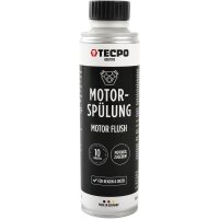 TECPO Benzin System Speed Reiniger ESTER 300 ml + Motorspülung Motor Flush Motorreiniger 300 ml