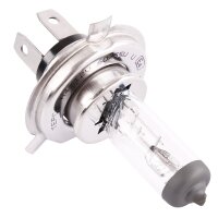 10x TECPO H4 Glühbirne 12V 60/55W P43T