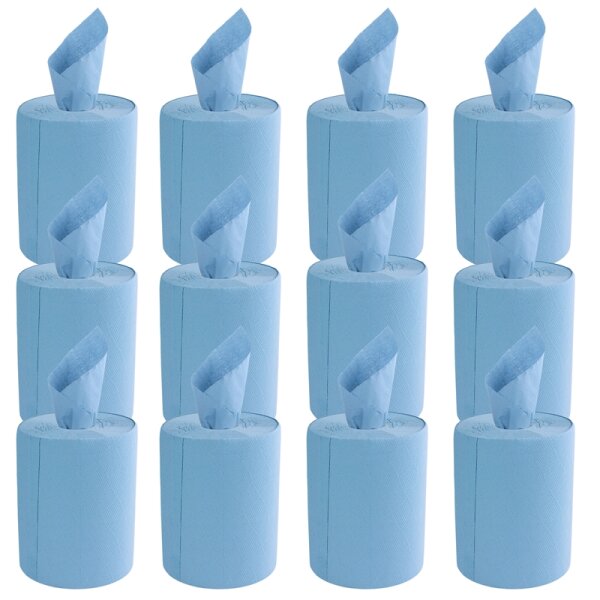 300942 Putzrolle 2-lagig, 12x