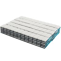 TECPO Klebegewichte 600-teilig Auswucht Gewichte, 5g + Kunststoffschaber 19 mm