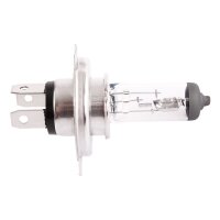 20x TECPO H4 Glühbirne 12V 60/55W P43T