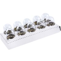 TECPO Glühbirnen R10W 12V 10W BA15S, 10 Stück