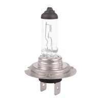 20x TECPO H7 Glühbirne 12V 55W - PX26d