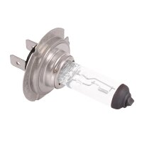 20x TECPO H7 Glühbirne 12V 55W - PX26d